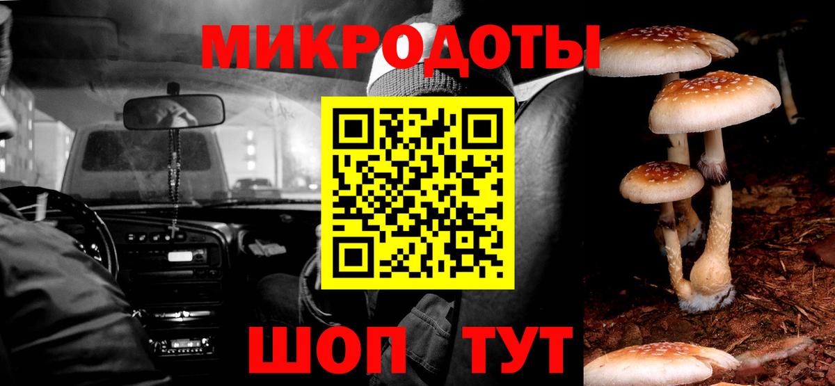 Химки  Псилоцибиновые грибы прущие грибы  Вход с VPN 